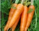 500 морковь