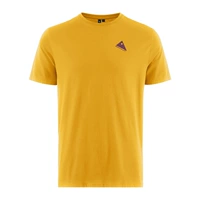 Желтый чистый желтый