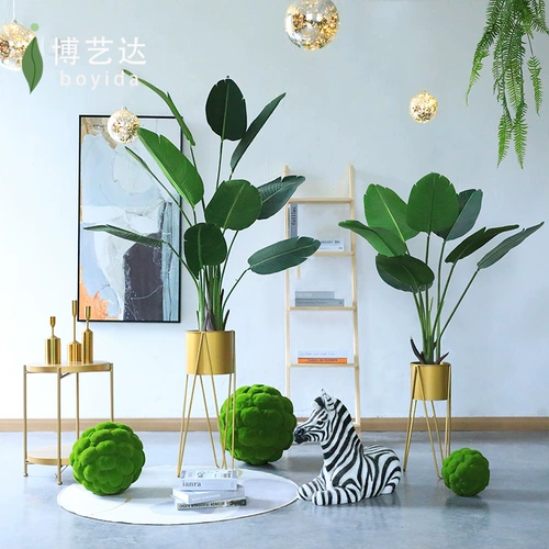 Nordic Simulation Traveler Traveller, банановый горшок, посадка на свободный хвост бонсай Бонсай В помещении и открытой гостиной