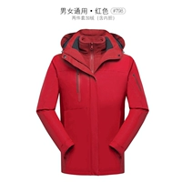 Красный 798 (включая внутренний лайнер)