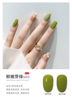 S019-FRESH и TENDE
