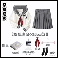 Лонгслив, юбка в складку, шейный платок, вешалка, 42см