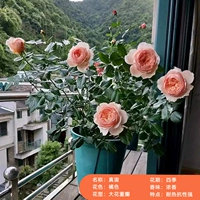 Настоящая вселенная