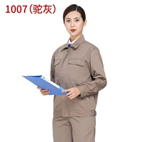 1007 верблюжый пепел