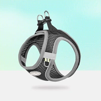 Черный и серый [одиночный ремешок без шнура] [не экономически эффективно]