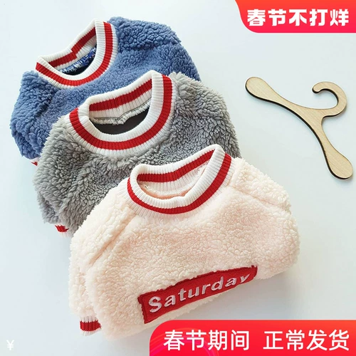 Утолщенное домашнее хлопковое пальто осенью и зимняя одежда Тедди VIP Bichon Bear Bear Pomeranian Cat Маленькая собачья одежда для собак Зимняя хлопчатобумажная куртка