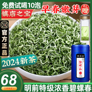 売れ筋商品!!! 2024年新茶【本場特級碧螺春】明千頭摘み若芽緑茶 250g