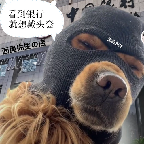 Голова собак ограбления и собачьего питомца снабжает шарф террористической маски Daquan, чтобы согреть зимнюю искру