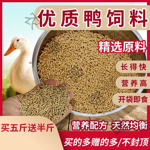 Утка кормить утиную кормку Материалы утки, уток, утка, утка, утка, гусь, индейка, рыбалка для птиц, рыбалка