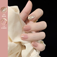 51#Iced Nude Powder+46#Gold Champagne Gold