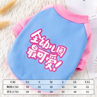 Маленькая симпатичная