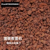 Соседство блокирует растения черная бумага, сделайте изготовление песчаного гипсокартона камень