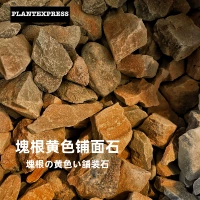 Блокирование желтой погоды ископаемое 500 г