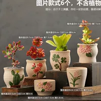 SJH-Coarse Potty