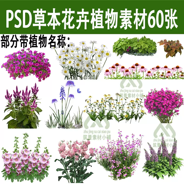 Ps花镜花卉植物花境草本植物psd千屈菜蜀葵郁金香薰衣草鸢尾素材