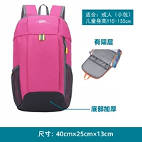 Роза красный 12л