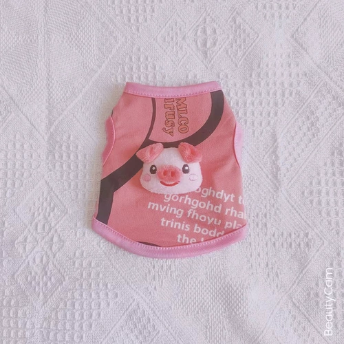 Чистая одежда из красного котенка в летнем тонких 1 кошачьих, 2 коса