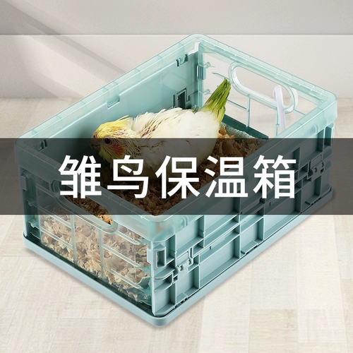 Изоляционная коробка попугая цыплят, молодые птицы вылупит руку -Неснациональная застрахованная коробка для птиц.
