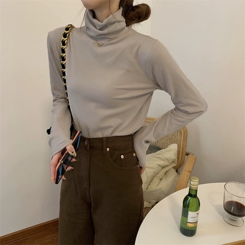 Утепленная двусторонная бархатная демисезонная утепленный лонгслив, нарукавники, футболка, по фигуре, высокий воротник, коллекция 2022