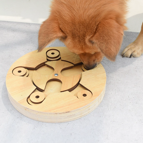 Той игрушка для собак, разворачивая душное улучшение интеллекта артефакта, медленно питая золотой симер, Шиба Ину Корги Тедди собаки