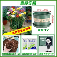 Смешанный Xiangxuellan 10+ [набор жира в горшках]
