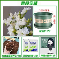 A1 White Xiangxuellan 10+ [набор удобрений почвы для горшков