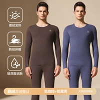 [Бесшовный круглый вырез, 2 комплекта] Гелиевый кофе + темно-синий (кашемир из гусиного пуха + немецкий шелк + увлажняющий крем с гиалуроновой кислотой)