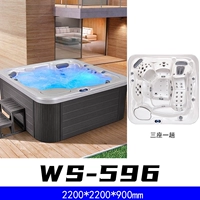 WS-596 2200*2200*900mm