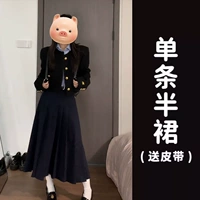 Синий ремень, демисезонная мини-юбка, комплект, базовая длинная юбка, в стиле Шанель, подходит для подростков, изысканный стиль