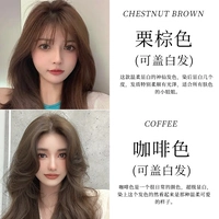 Купить один, получи один бесплатно [медовый чай коричневый (каштановый коричневый)+холодно коричневое белье (цвет кофе)]