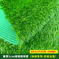 Весенний CAO 3 см SMI/зеленая сетка/солнцезащитный крем на открытом воздухе [Модель против