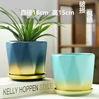 Два большого лотка с золотистого синего и зеленого пояса