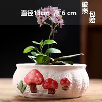 Большое грибное блюдо