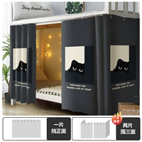 Зонд черный кот