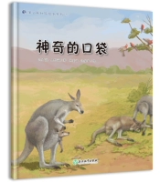 2 Волшебный карман