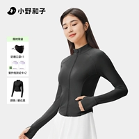 [Стенд воротник] Обсидианский черный + солнцезащитный крем маска + тестовая карта