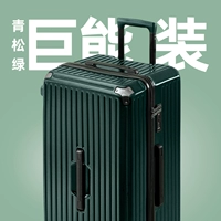 [Зеленая сосна зеленый] Если вы хотите жить жизнью, вы должны принести немного зеленого