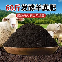 Натуральная ферментация овца навоза 60 фунтов модернизации [вторичная ферментация высокая температура гнила]