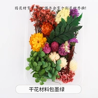 Сухой цветочный материал чернила зеленые