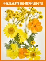 Набор материалов, небольшая сумка, 12 штук