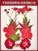 Красный набор материалов, небольшая сумка, 12 штук