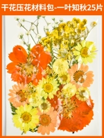 料 Сухое цветочное давление в цветочном материале мешок-один лист Zhiqiu 25 таблетки