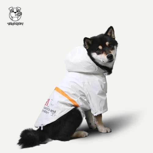 Труба его домашняя собака дождевика с четырьмя вырубленными водонепроницаемыми дождливым сновидением