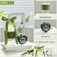 Счастливого учебного дня сорок шесть