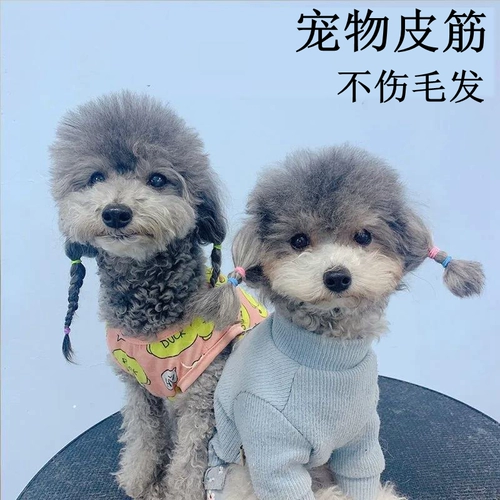 Домашние собаки и кошки Специальные пальтопольщики, круги для волос Kok Suma не повредят мао Тедди косичка голова головы ювелирные изделия