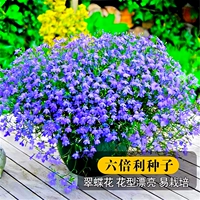 200 таблеток с прибылью в шесть раз [купить 2 получить 1 бесплатно]