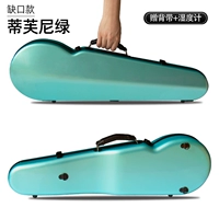 Зеленое отсутствие денег Тиффани