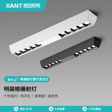 Сетка света