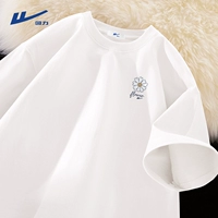 Белый (ч чистый грудь хризантема)