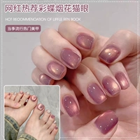 Cai Butterfly Fireworks Cat Eye 10 мл фавориты Отправьте магнит и бесплатно 1 Отправить 1